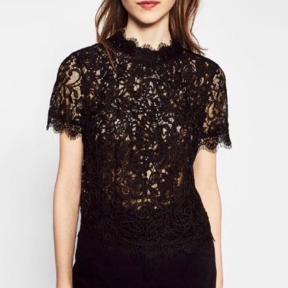 NEW Zara Black Lace & Embroidered Top